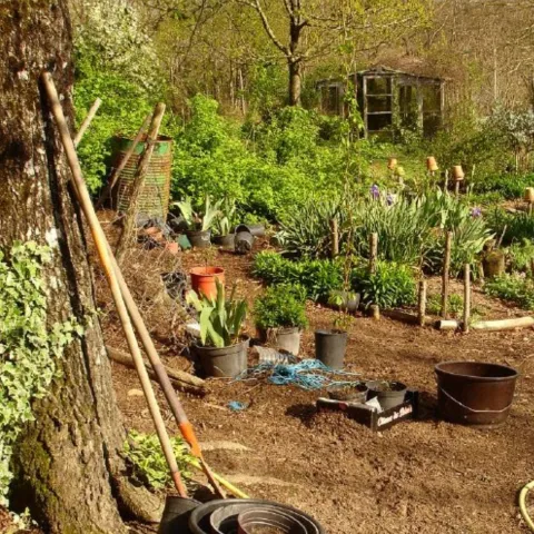 Permaculture