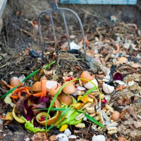 Backyard Composting