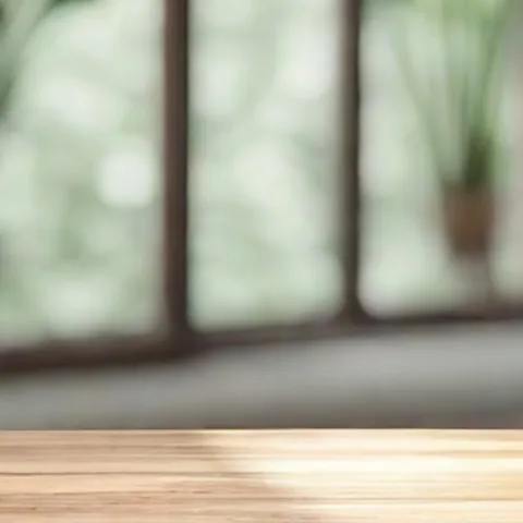 Houseplants growing inside near a window