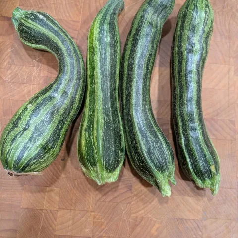 Four Italian striped zucchini on a wooden cutting board. 