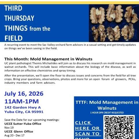 Third Thursday Things from the Field flyer this month on Mold Management in Walnuts.
