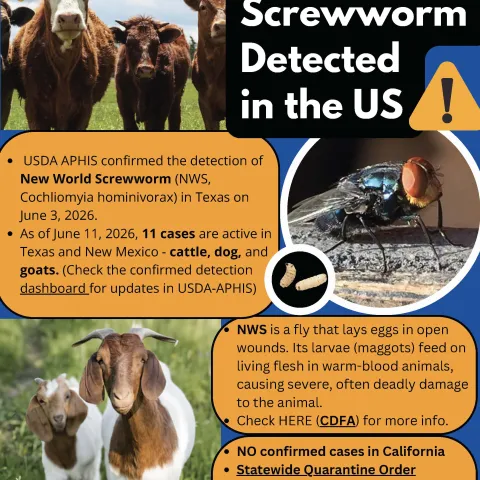 A flier sharing information, links to updates and resources about New World Screworm disease