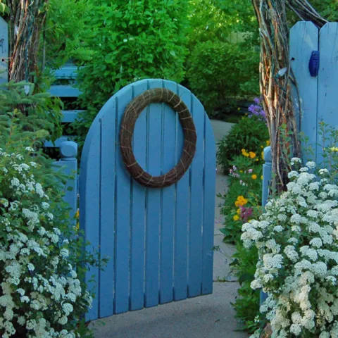 Blue wooden fence and garden gate with white flowers on either side.
