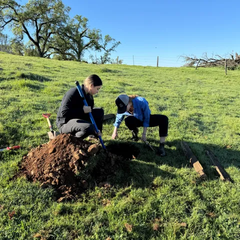 Two people looking at soil pit in rangeland