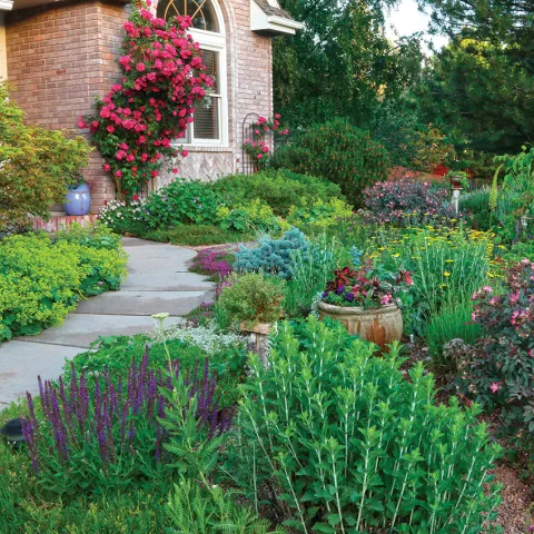 waterwise landscape design with pathway and plants