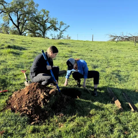people digging in rangeland