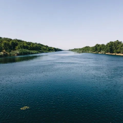 Flowing river with trees in the distant background