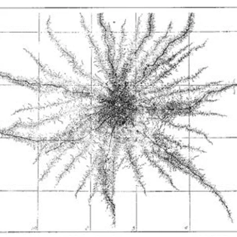 beautiful diagram re-creates the pattern (seen from above) of corn roots growing in the top six inches of soil. From Root Development of Vegetable Crops, by John Weaver & William Bruner. 1927. Pages 30-31.