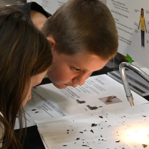 Two children learning about insects at the Bohart Museum of Entomology.