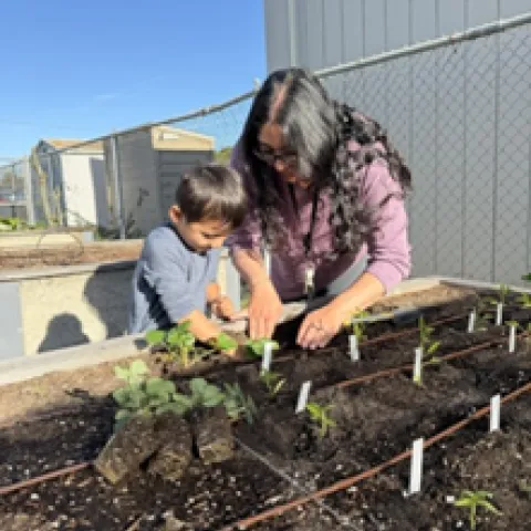 Family at Hapgood working their garden bed. 