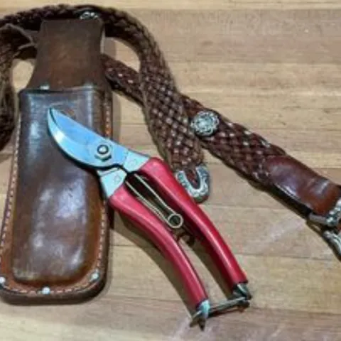 Japanese-made pruners, ARS-120-S and their case