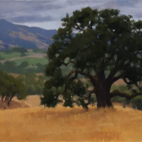 Plein air painting of oak in HREC landscape