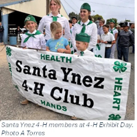 Santa Ynez 4H members at 4-H exhibit day 