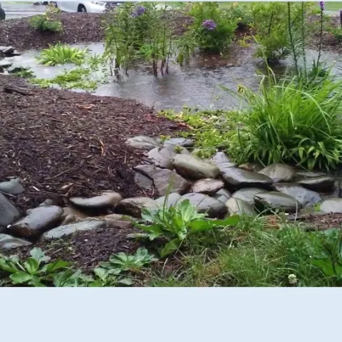 Landscaping for the small water cycle