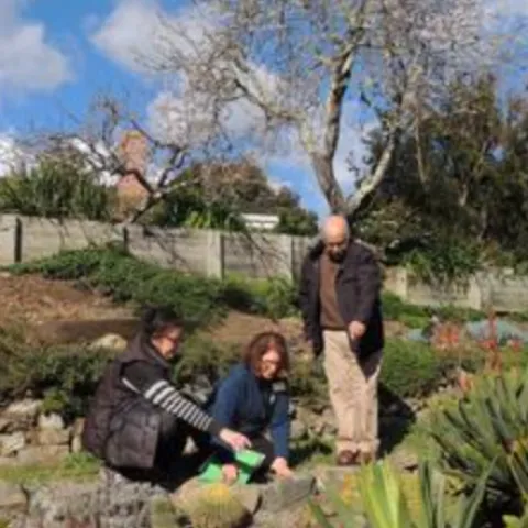 people kneeling in a garden looking at plants