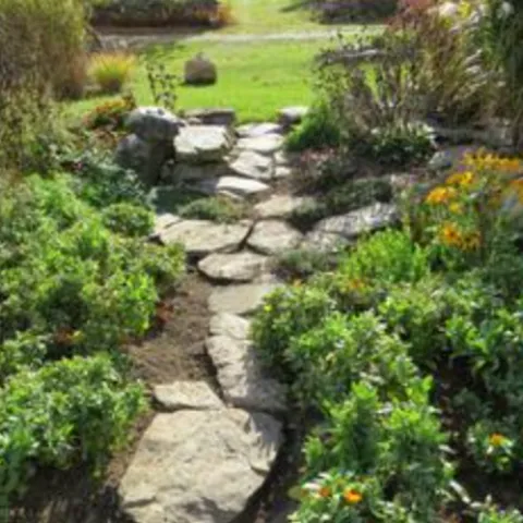 stone pathway between garden beds