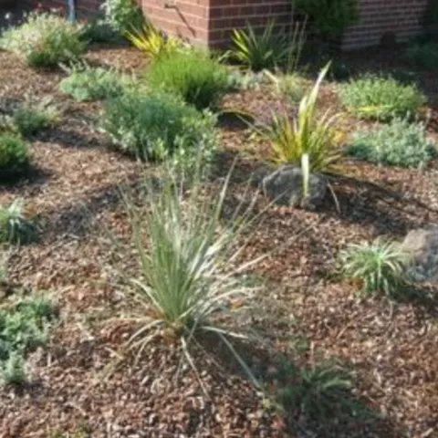 a neatly cleaned perennial bed with a new layer of mulch