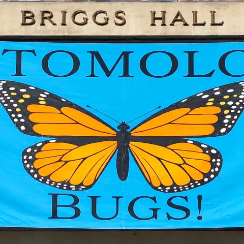 Monarch banner at Briggs Hall