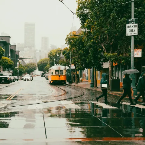 Rain falls on slickened streets of a city as pedestrians in a crosswalk hold umbrellas