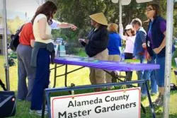 A Master Gardener Plant Doctor Booth at a Community Event