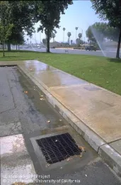 Runoff from sprinkler