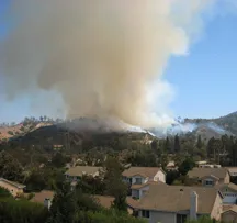 Griffith Park fire aug08