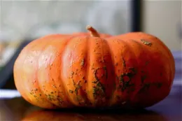 ‘Rouge Vif d’Etampes’