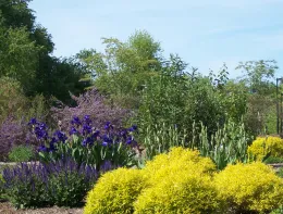 good color combo at McConnell Gardens for web