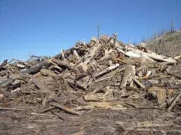 Fire salvage woody biomass from the Eldorado National Forest