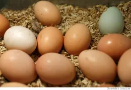 IsOrganicBetter-fd_eggs01_075_cl