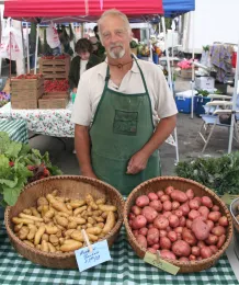 potatos for sale cropped
