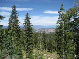 Klamath National Forest
