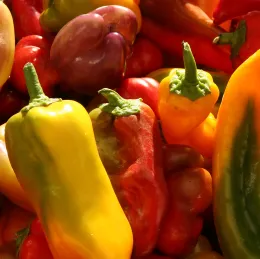 Peppers