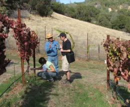 Syrah Health Field Trip 3 Speakers in Vineyard 4X5 Web Pic IMG_0182