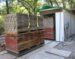 6MBF Koetter Dry Kiln - tanoak lumber