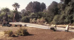 plastic_rows_cropped