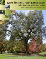 Oaks in the Urban Landscape publication
