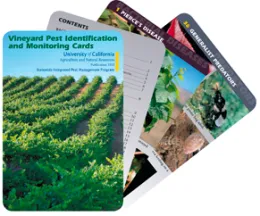 Vineyard Pest Identification and Monitoring Cards
