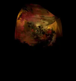 Lights on under frost cloth<br>(click to enlarge)