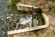 201-manure-water-irrigation