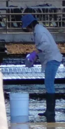 people_Naoko_Watanabe