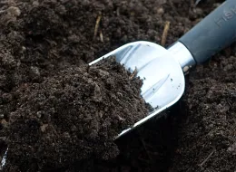 Garden Soil
