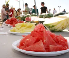 08Watermelon-copyrightSFP