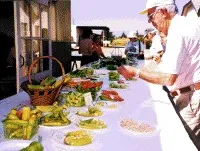Participants taste chile pepper varieties on display at the Chile Pepper Field Day.