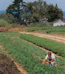 Photo of man crouching in field