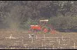 tractor_in_field2