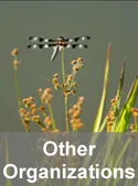 Other Organizations