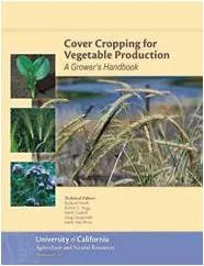 Cover Cropping for Vegetable Production
