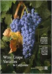Wine Grape Varieties in California