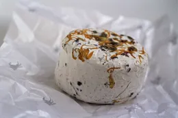 Summertime Pierce Point